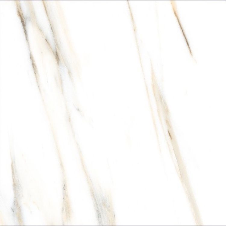 AGL Calacatta Gold Matte 24 x 24